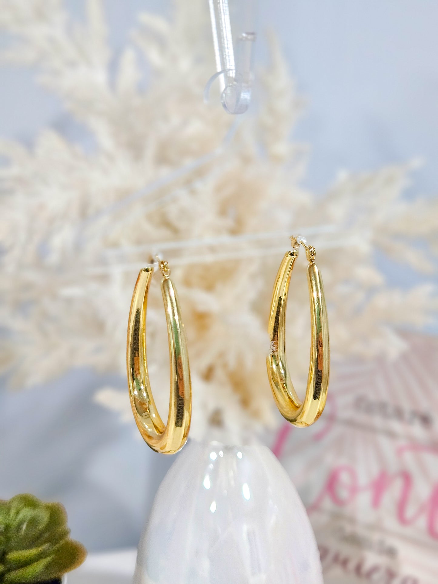 Argollas Dani