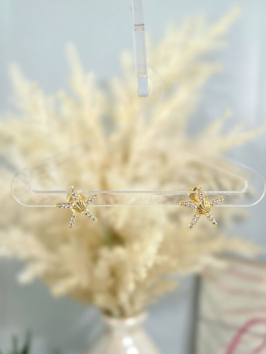 Pantallas estrella de mar